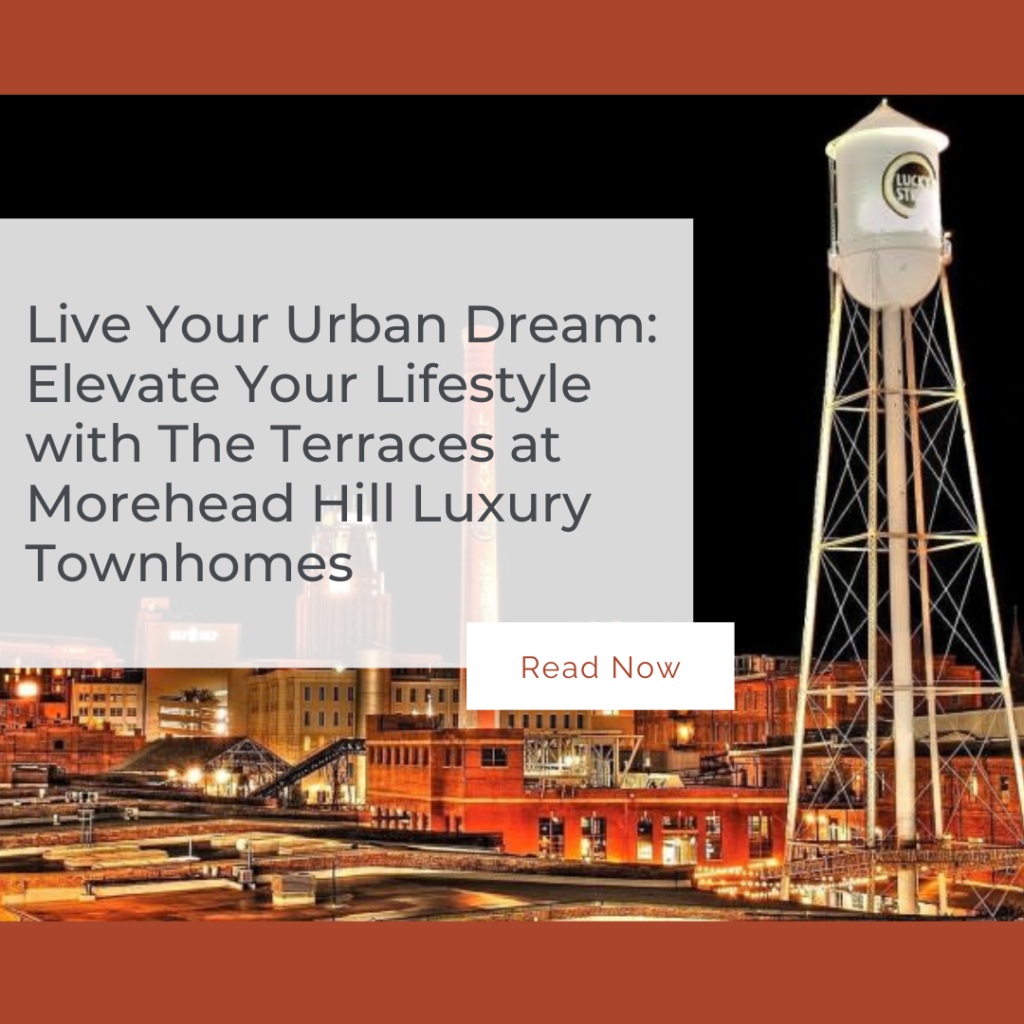 live your urban dream, the terraces at Morehead hill